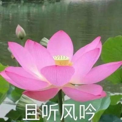 绵阳市政协副主席、党组副书记谭岗一行调研...